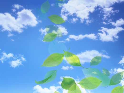 382796 (a): :1600x1200
